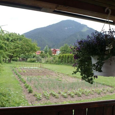 Apartman Turista Pavčina Lehota 외부 사진