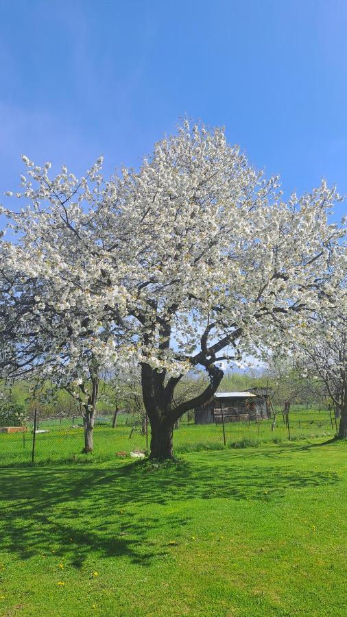 Apartman Turista Pavčina Lehota 외부 사진