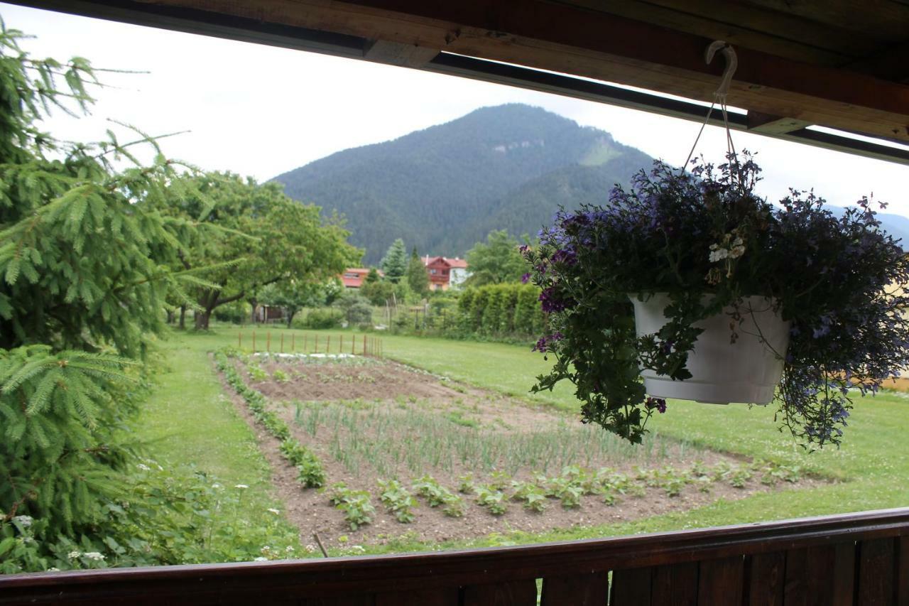 Apartman Turista Pavčina Lehota 외부 사진